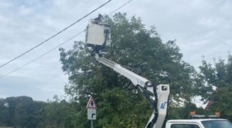 Dégagement de lignes électriques à Chalon-sur-Saône 71100