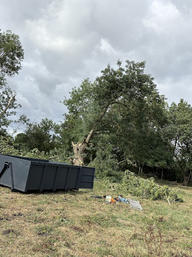 Abattage arbre santenay 21590
