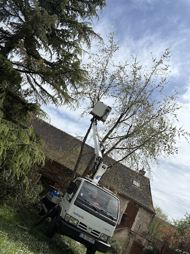Abattage arbre chalon sur saone 71100