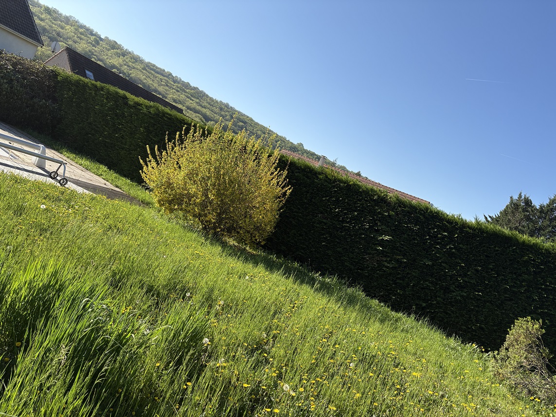 Intretien haie chalon sur saone 71100