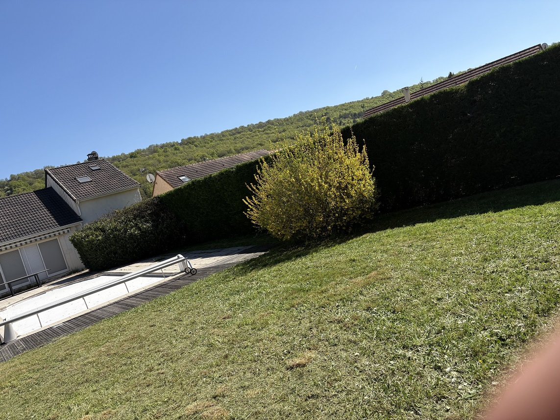 Entretien de haies à Chalon-sur-Saône 71100